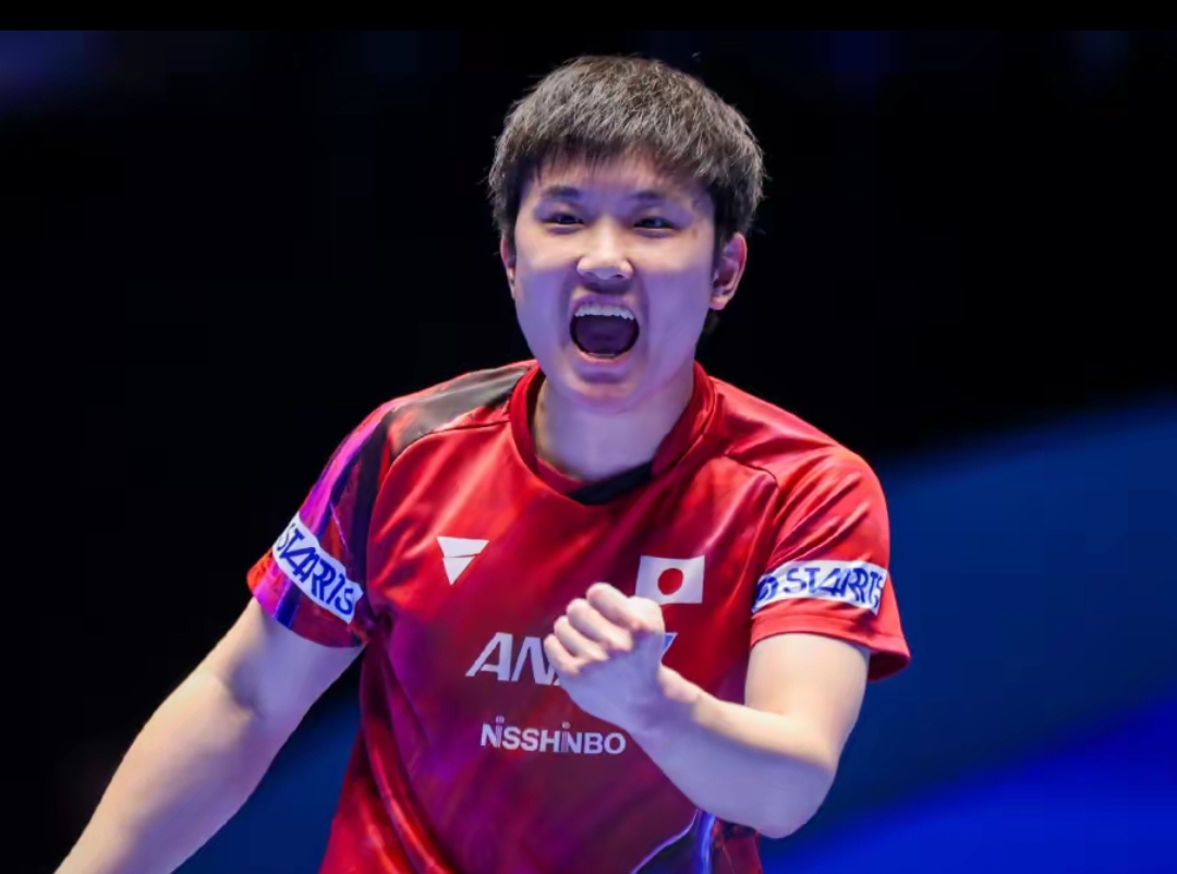 每年的F1 每年的F1