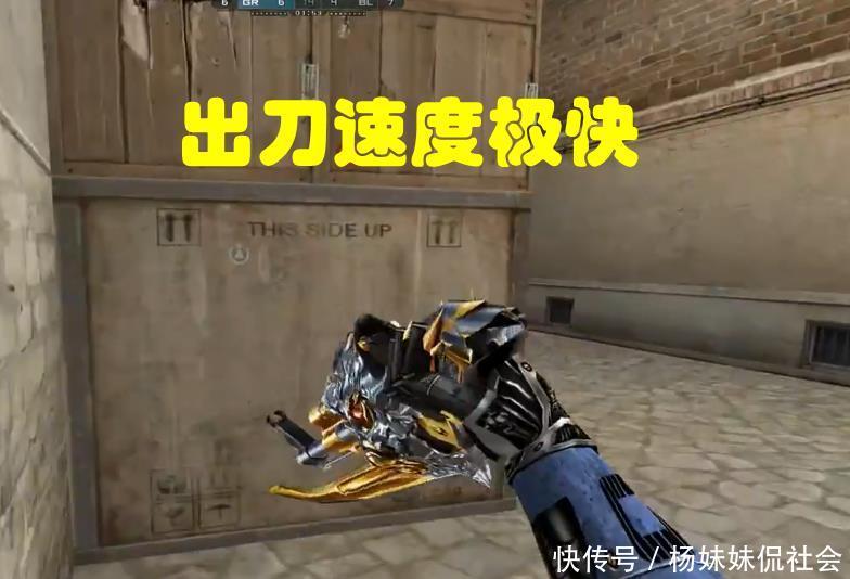 生态